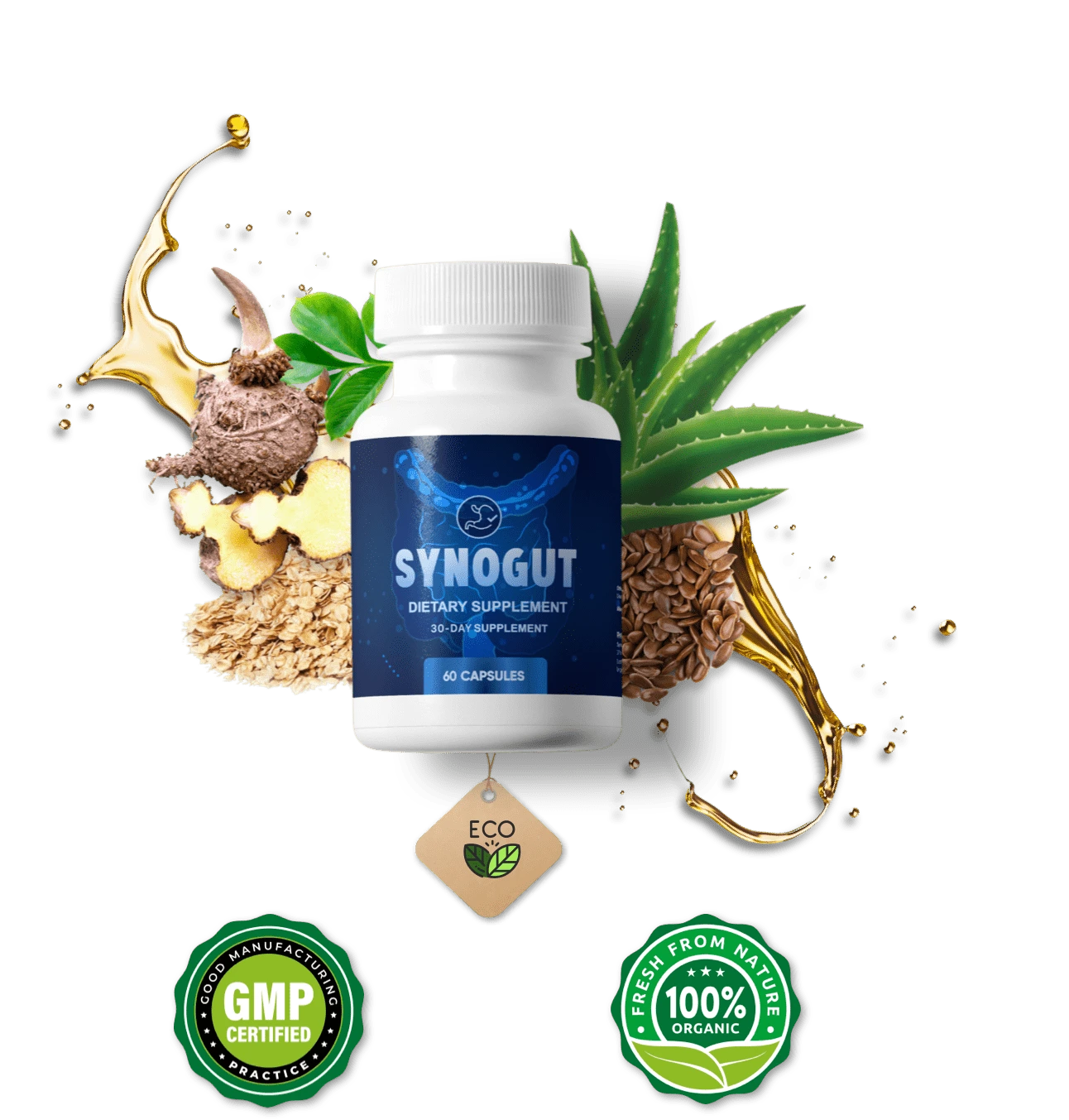 SynoGut